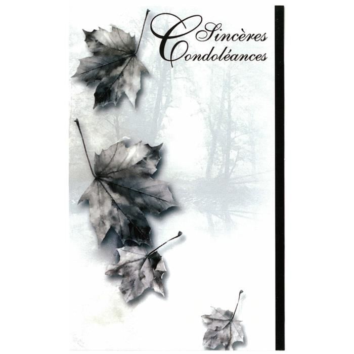 Lot de 5 cartes condoléances: Affectueuses Pensées carte condoléances carte  de deuil carte de voeux réconfortante le chagrin avec un papillon Cartes  postales Cartes et papier cartonné