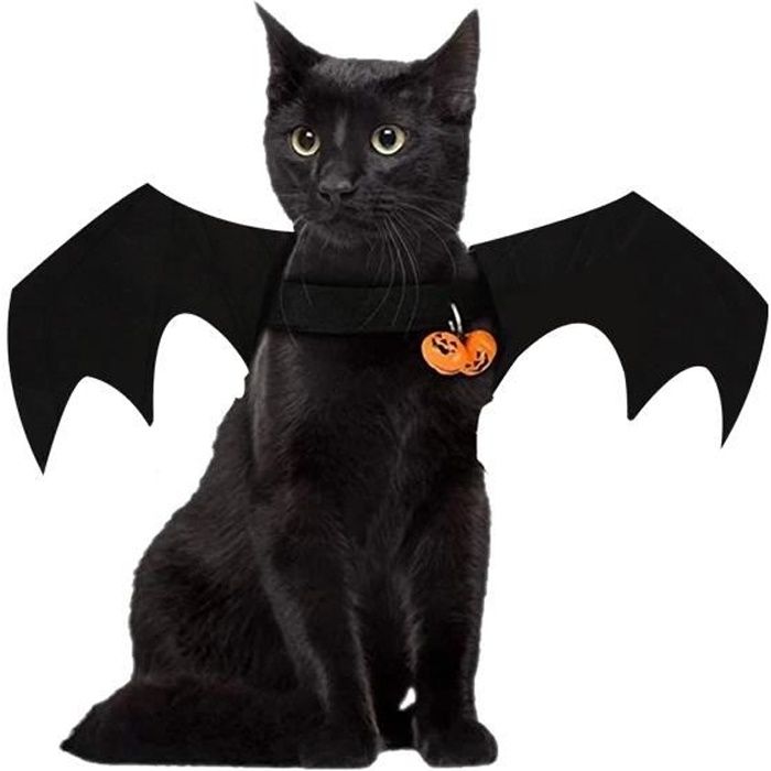 Costume d'aile de chauve-souris personnalisé avec sangles réglables,  accessoire de photo d'Halloween pour animal de compagnie, costume  d'Halloween de chat, cadeau pour chats/chatons/chiens