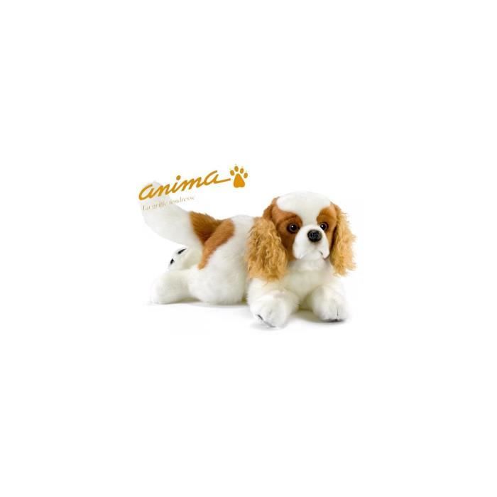 peluche chien cavalier king charles