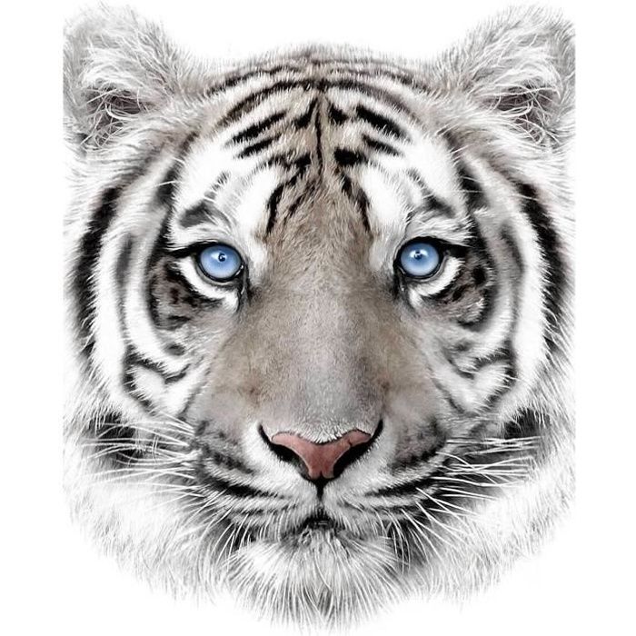 Couverture Plaid polaire très doux Tigre blanc - 120 x 150 cm