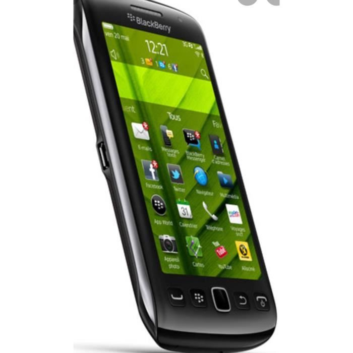 Blackberry Torch