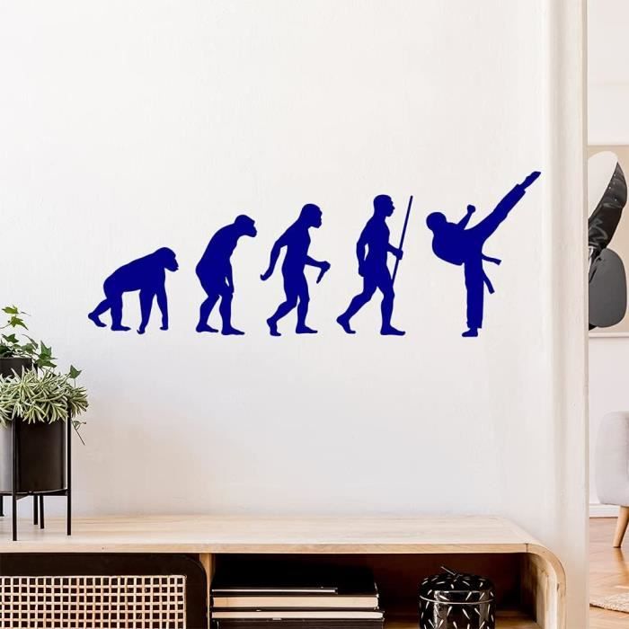 Sticker Mural Motif Évolution Karaté[u5654] Cdiscount Maison