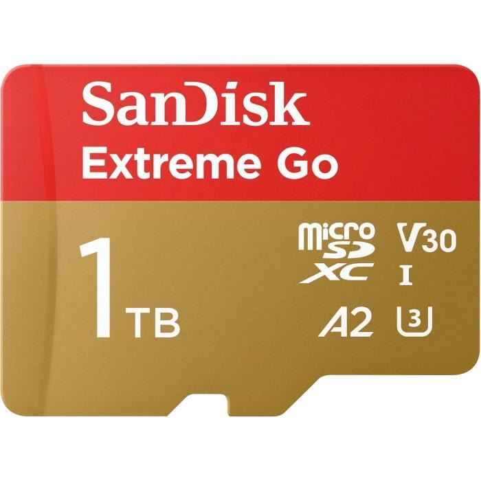 Carte mémoire SANDISK Extreme Go microSDXC 250 Mo/ lecture