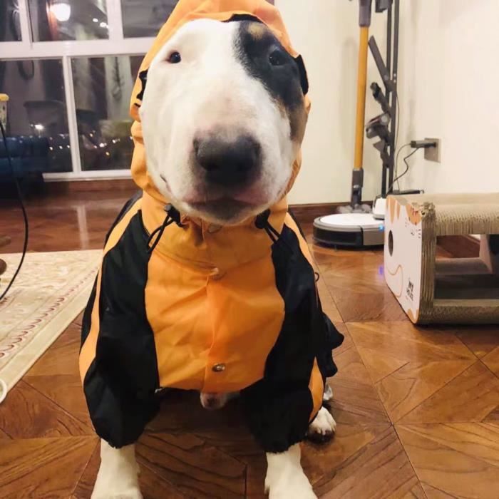 Orange M Manteau impermeable tendance pour chiens manteau de pluie pour petits moyens et grands chiens vetements pour animaux de Cdiscount