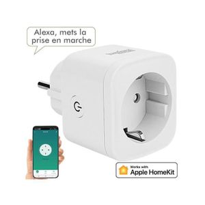 Prise Intelligente WiFi Gosund SP1-H Compatible HomeKit - Lot de 2
