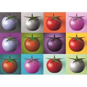 PUZZLE Puzzle 1000 pièces - DINO - Pop Art Tomates - Adul
