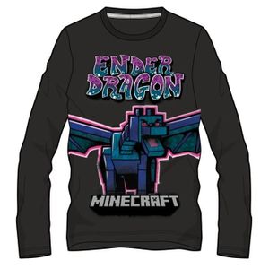 T-SHIRT t-shirt Minecraft manches longues 
