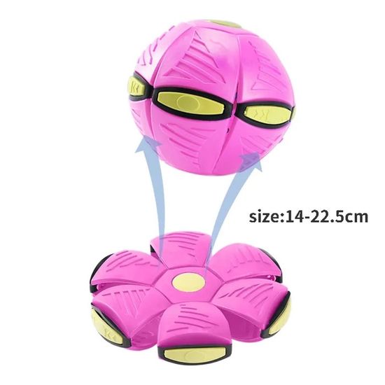 Clôture électronique pour animaux de compagnie Dispositif de dressage Clôture électronique pour animaux de compagnie Dispositif de dressage