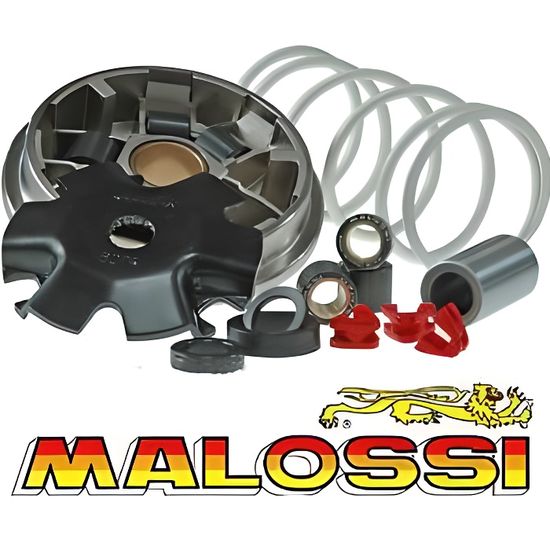 Variateur MALOSSI MBK Booster Spirit Stunt Nitro - Cdiscount