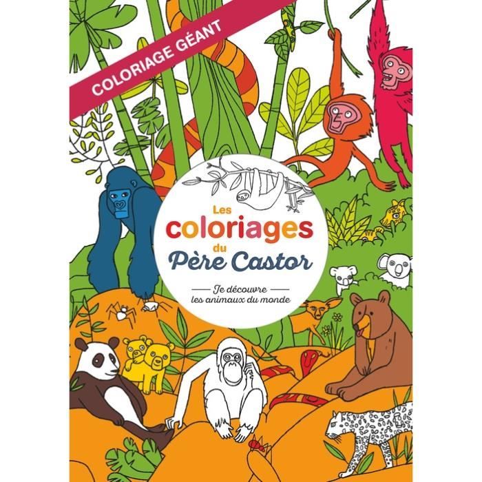 Cartes à Gratter/ Animaux à Découvrir Djeco - Boutique L'Enfantillon