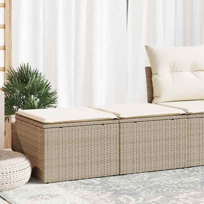 VIDAXL Salon de jardin avec coussins 2 pcs