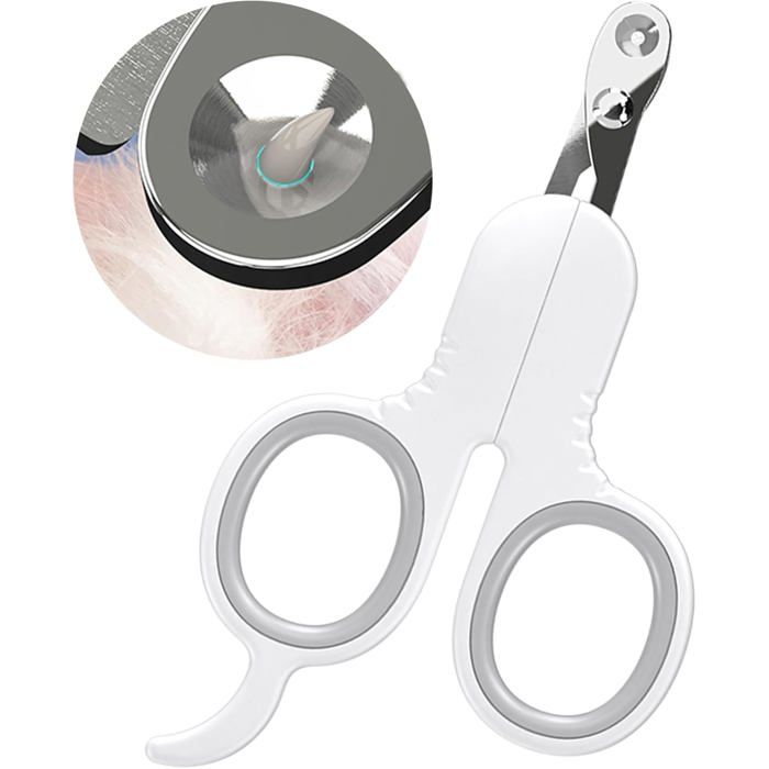 Coupe Griffes pour Chat Professionnel 2mm Trou Conique Coupe Ongle Chat Coupe Ongle pour Chiot Lapin Oiseau et Petits Animaux