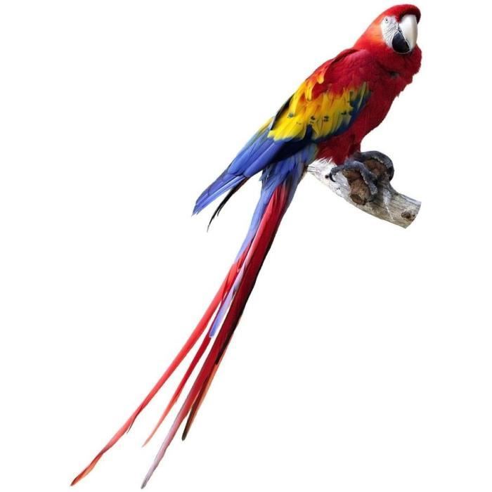 Autocollant Sticker Voiture Deco Oiseau Perroquet Cdiscount Maison