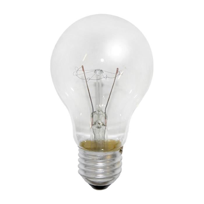Ampoule Incandescente Spéciale FOUR 300° Standard 60W E27 24V