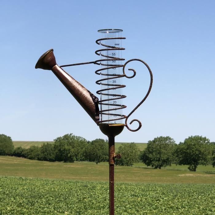 Pluviomètre de Jardin à Piquer Éolienne Girouette Tuteur de Jardin