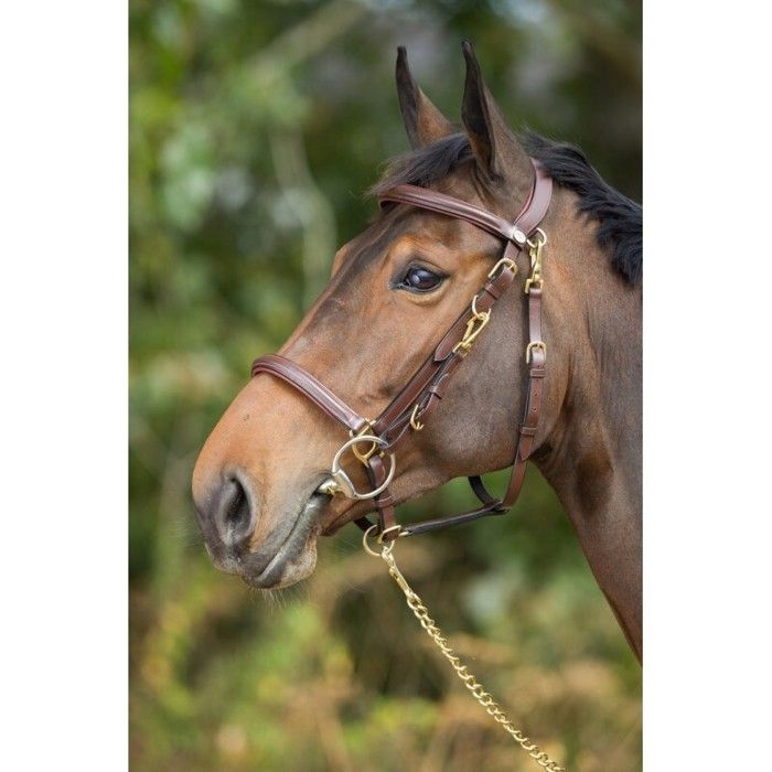 Franges anti-mouches pour cheval et poney, QHP, taille pur-sang (Cob), noir