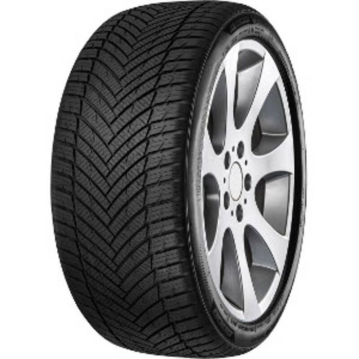 Pneu MINERVA AS Master 205/55 R17 95W MF259