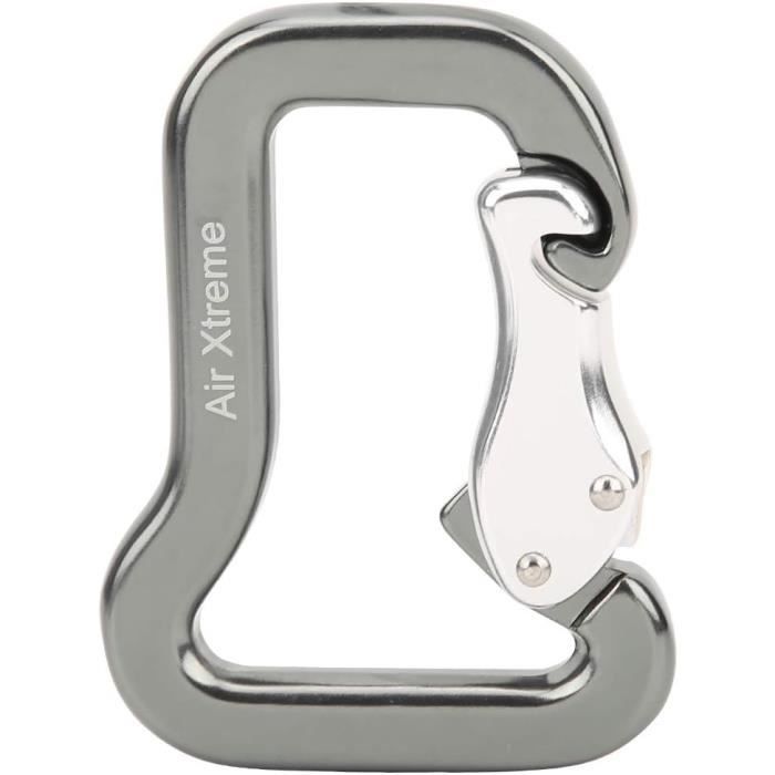 Lot de 10 mousquetons à ressort en acier inoxydable pour le camping, l