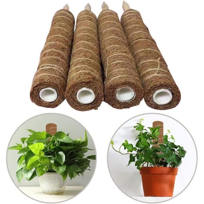 Support Tuteurs pour Plantes Grimpantes, Tuteurs pour Plantes Grimpante