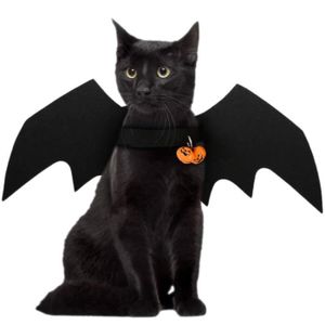 Deguisement Pour Chien Cdiscount Deguisement Pour Chien Cdiscount