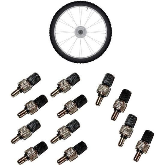 Kit Adaptateurs De Valve Vélo - 5 Adaptateurs Laiton + 10 Bouchons Noirs | Conversion Presta/Schrader