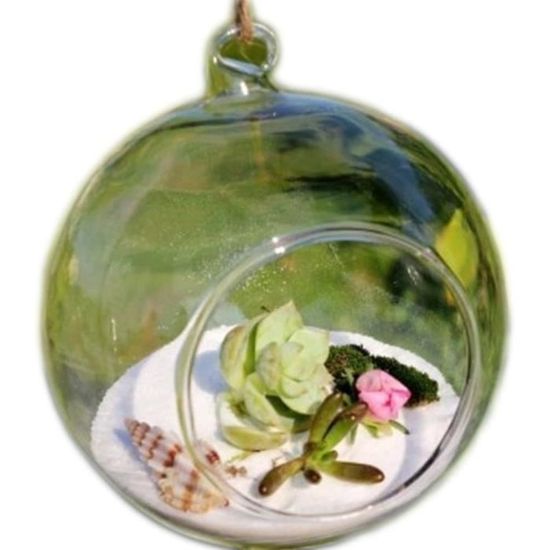 3 Vases Suspendus En Verre Transparent En Forme D'Ampoule - Pour Plantes Aériennes, Succulentes, Décoration Intérieure - 13