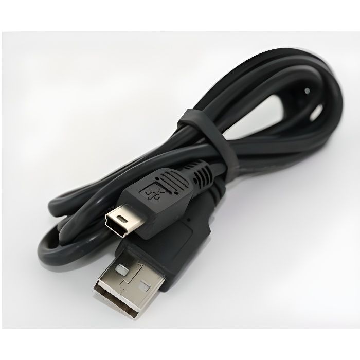 Cable de synchronisation USB vers mini USB pour GoPro Hero 3 et 4