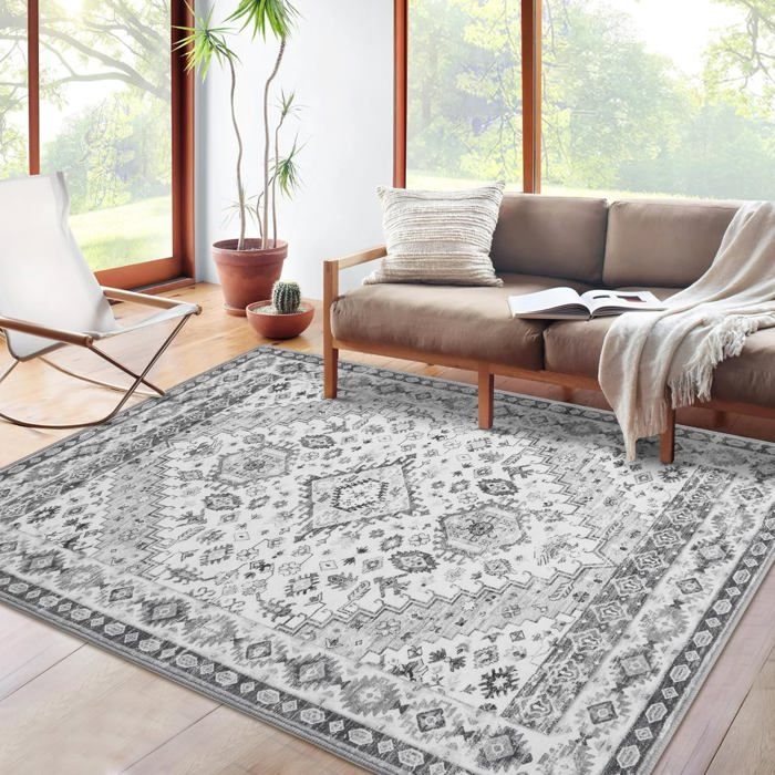 Générique Tapis Salon 80 X 150 Cm, Tapis Lavables Avec Dos Antidérapant