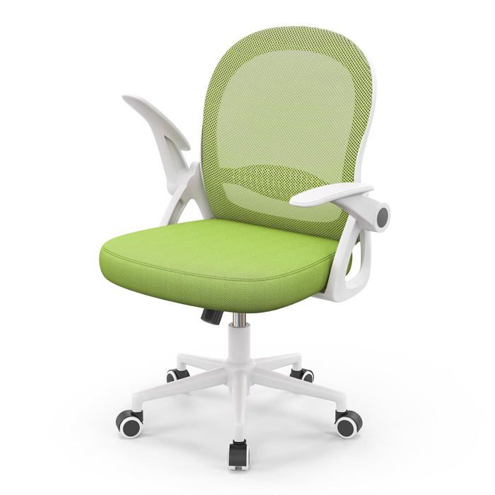 Chaise Bureau Ergonomique Mesh Vert Accoudoirs Relevables Soutien Lombaire Auto-agrippant Réglable Confortable Télétravail