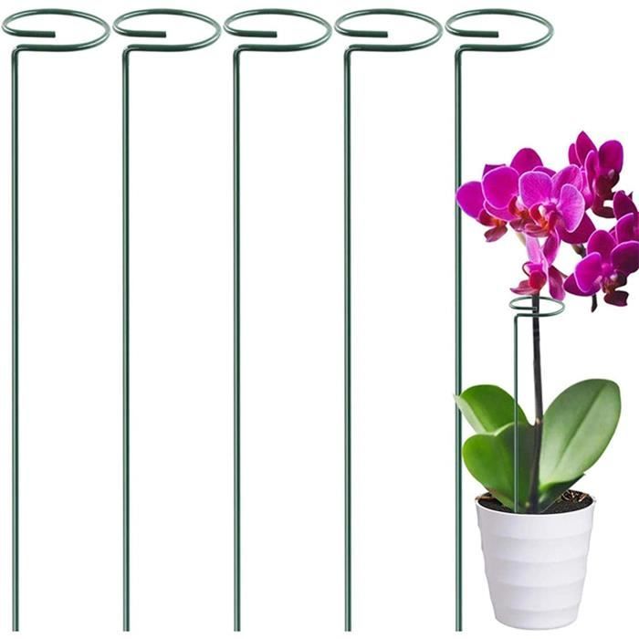 4 Supports Tiges Plantes XIHIRCD - Plastique Noir 13.5-5.8cm