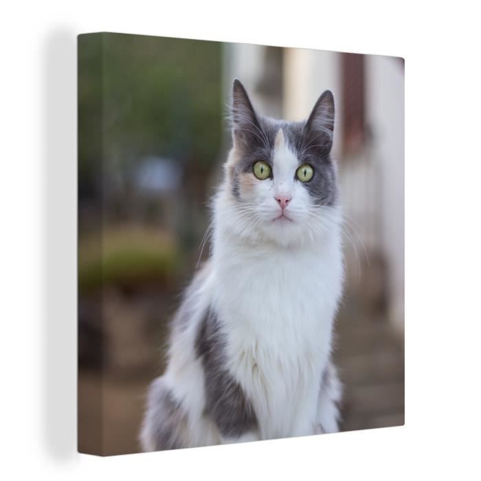 Muchowow Toile Peinture Chat Portrait Table Decoration Murale 90x90 Cm Cdiscount Maison
