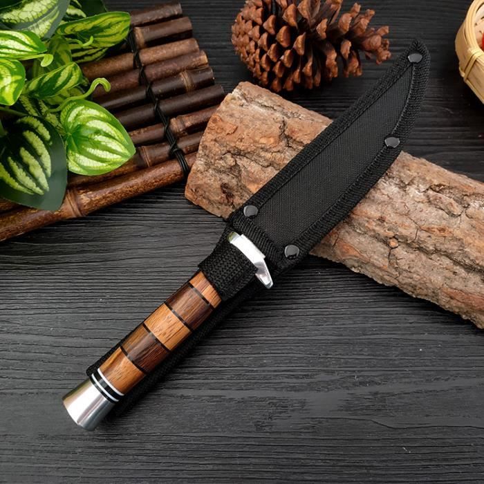 Couteau à champignons avec brosse, couteau de chasse aux champignons  couteau de greffage couteau de chasse pliant en acier au carbon - Cdiscount  Maison