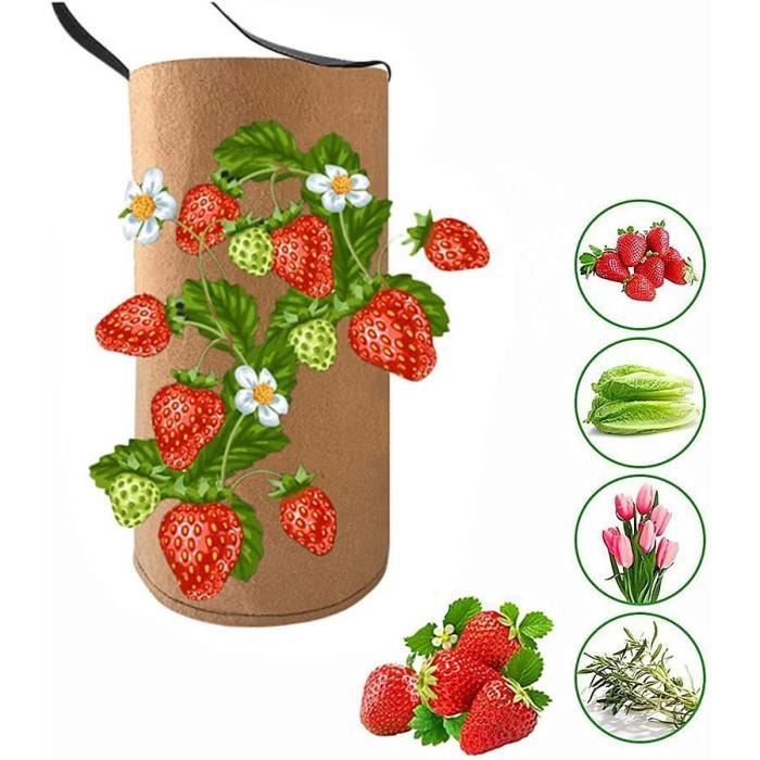 Lot De 5 Sacs De Plantation 40L - Géotextile Noir Pour Pommes De Terre, Tomates