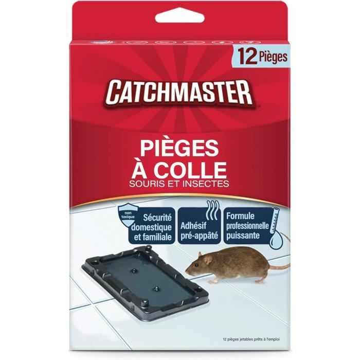 Piège à souris collé pour l'intérieur de la maison
