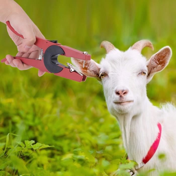 5 Pièces Broche Aiguille Étiquette Oreille Bétail - Acier Inoxydable, Outil Applicateur Robuste Pour Vaches, Porcs, Chèvres, Moutons
