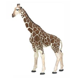 FIGURINE - PERSONNAGE Figurine Girafe PAPO - Modèle 50096 - Jouet pour G