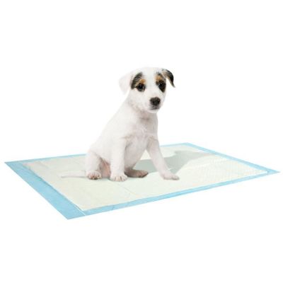 Coussinets pipi réutilisables pour chien, tapis antidérapants à