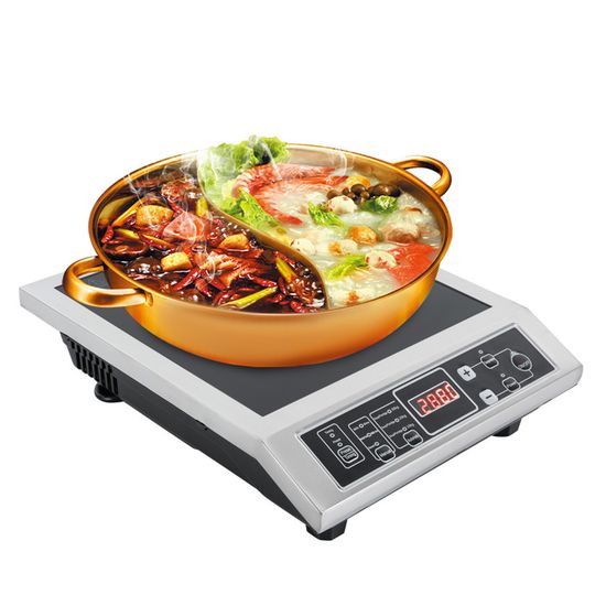 Plaque à Induction 3500W Professionnelle - 8 Niveaux Puissance + Timer + Réservation - Charge Max 50kg - Pour Cuisine Maison & Extérieur