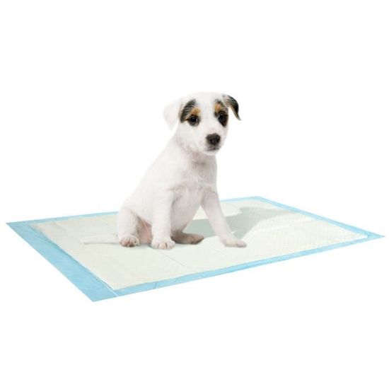 8 Tapis D Education Impermeables Chien Chiot Pipi Caca Apprentissage Proprete Cdiscount 8 Tapis D Education Impermeables Chien Chiot Pipi Caca Apprentissage Proprete Cdiscount