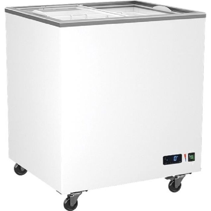 Congélateur Vitrées Portes Coulissantes - 208 à 640 Litres - Virtus
