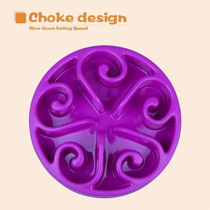 Gamelle Anti-Glouton pour Chien/Chat Bleu -violet