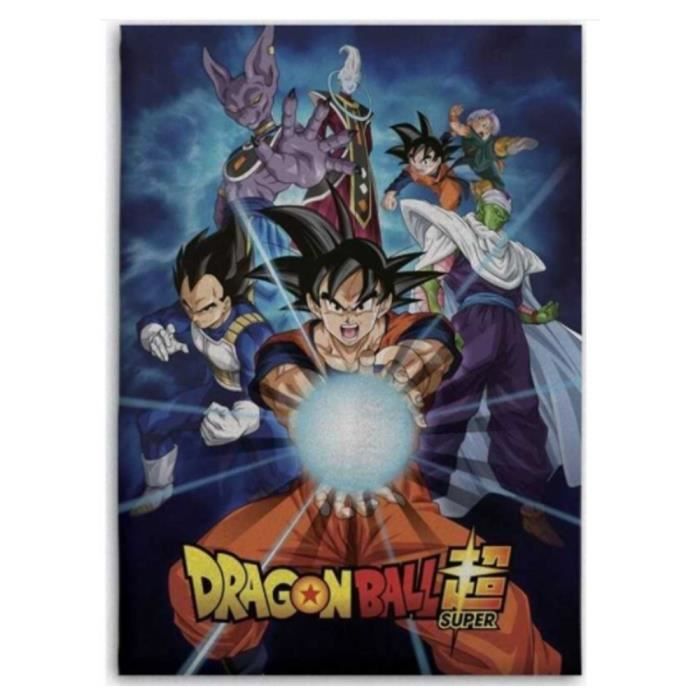 Plaid polaire Dragon Ball Z 100 x 140 cm - Couverture Modèle 1
