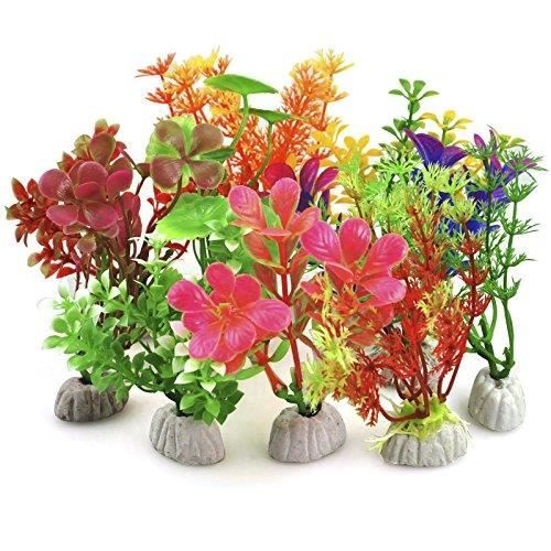 DIGIFLEX 10 X Plantes d'Aquarium Variées pour Bocal à Poissons
