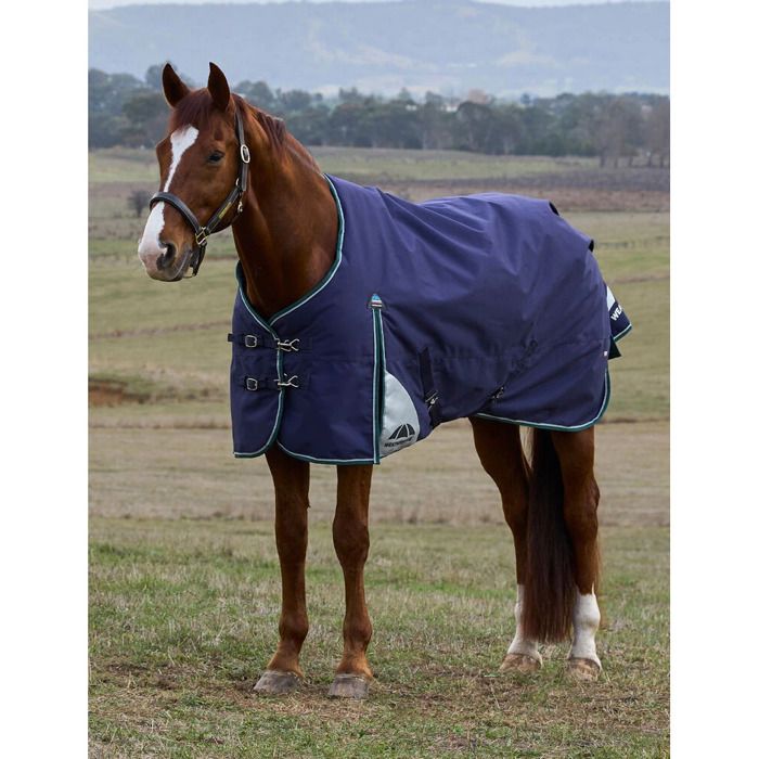 Meilleurs prix pour Couverture dextérieur pour cheval Weatherbeeta Comfitec Plus Dynamic 220g - Bleu - 140 cm