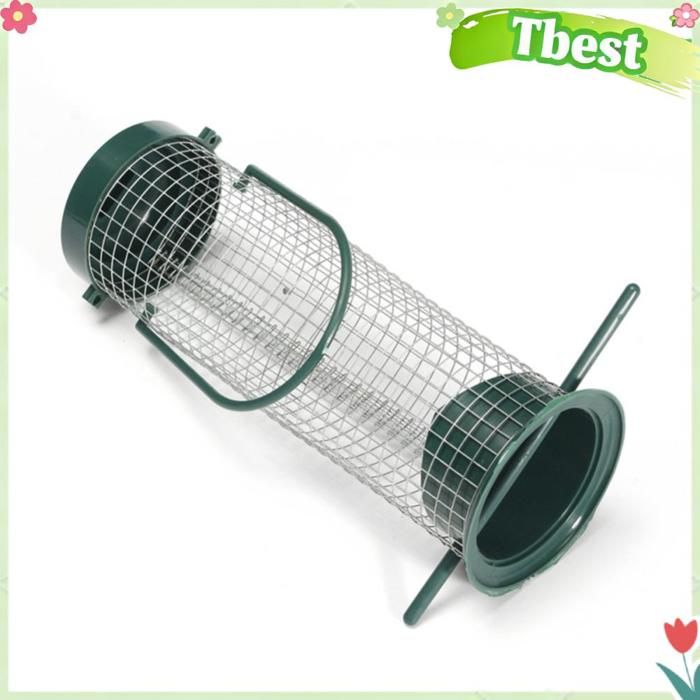 Tbest Mangeoire à oiseaux Mangeoire pour oiseaux en plastique grilles métalliques mangeoire suspendue animalerie produits Vert
