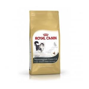 Feline Nutrition Norvegien - Royal Canin