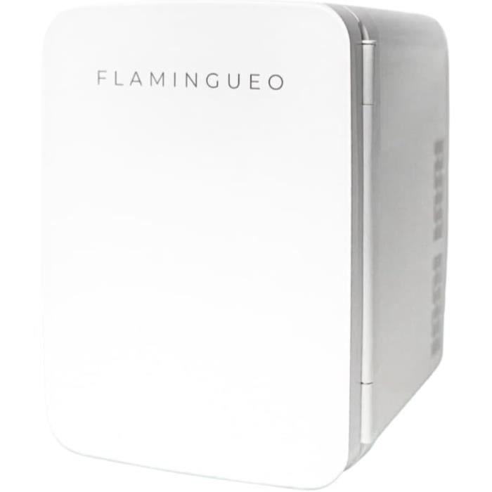 Flamingueo Mini-koelkast, 10 l, kleine koelkast met spiegel en led, 12 V/220 V, mini-koelkast voor de slaapkamer, warme en koude functie, koelkast cosmetica, koelkast Skincare