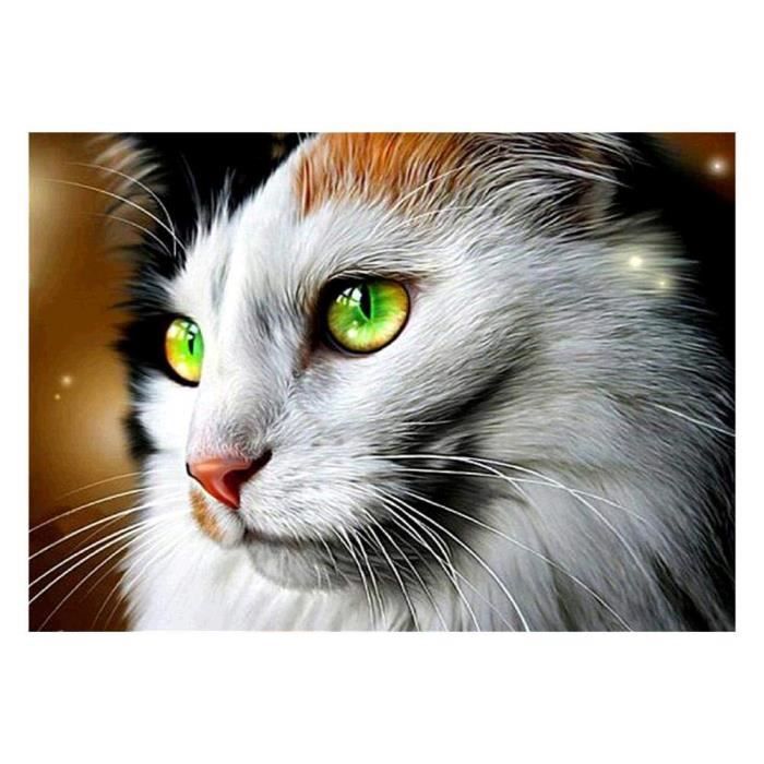 5d Diy Full Drill Diamond Painting Chat Peinture Diamant Complet Point De Croix Broderie Artisanat Mosaique Decoration De Maison 30 Cdiscount Maison