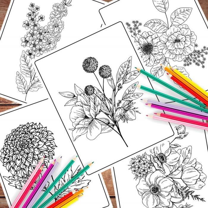 Livre de Coloriage Adulte: Fleurs et Jardin magiques avec plus de 50  Dessins à colorier - Se détendre en peignant - Coloriages au Format A4 par  C (Paperback)