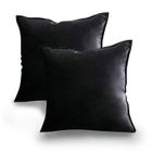 JANZDIYS 2 Pieces Housse de Coussin-45x45cm-Noir-Velours Coussin de Canapé--Décoration de la Maison du Salon-Super Doux-Sans Oreiller